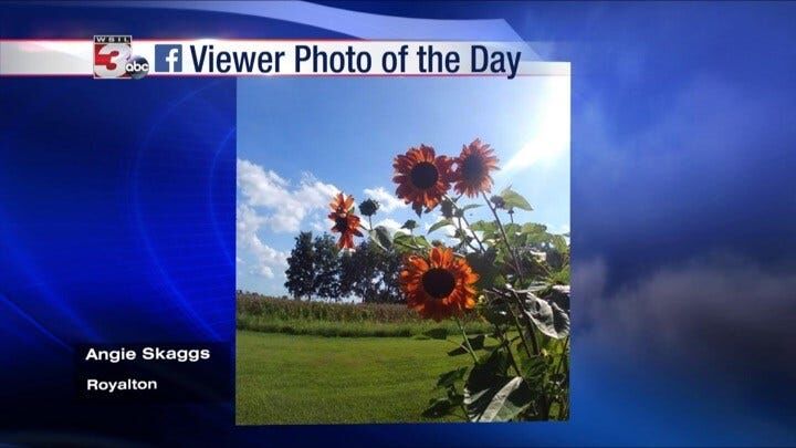 Viewer photos of the day: August 16, 2019